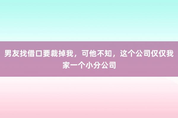 男友找借口要裁掉我，可他不知，这个公司仅仅我家一个小分公司