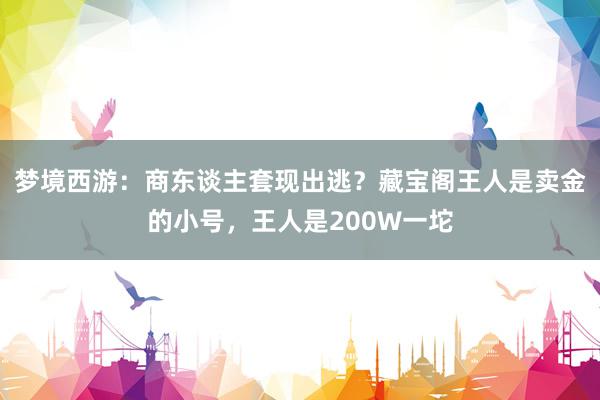 梦境西游：商东谈主套现出逃？藏宝阁王人是卖金的小号，王人是200W一坨