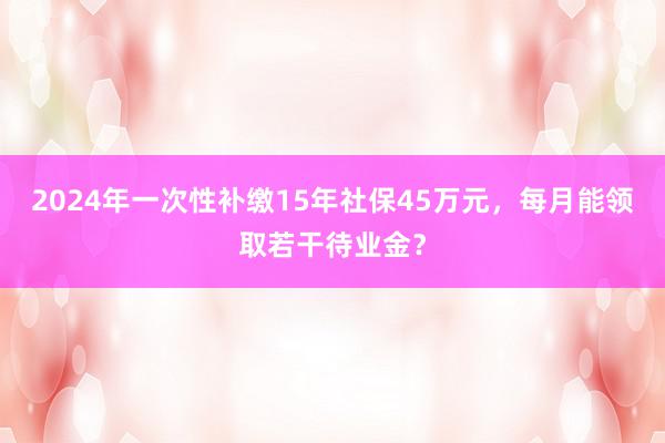 2024年一次性补缴15年社保45万元，每月能领取若干待业金？