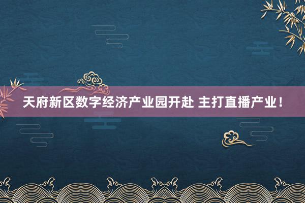 天府新区数字经济产业园开赴 主打直播产业！