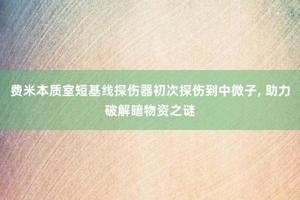 费米本质室短基线探伤器初次探伤到中微子, 助力破解暗物资之谜