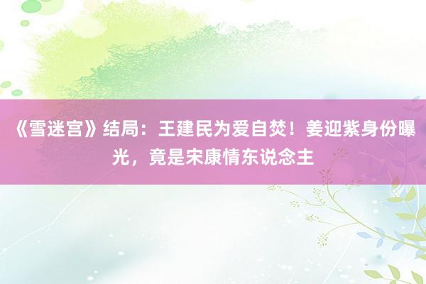 《雪迷宫》结局：王建民为爱自焚！姜迎紫身份曝光，竟是宋康情东说念主