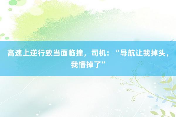 高速上逆行致当面临撞，司机：“导航让我掉头，我懵掉了”